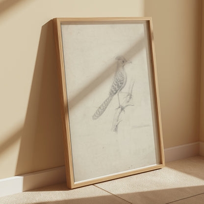 Premium Poster of Beautiful Artistic Sketch of Bird on Branch Posters