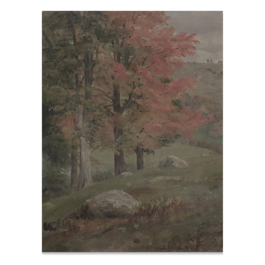 Premium Poster of Beautiful Autumn Landscape with Trees and Rocks Posters