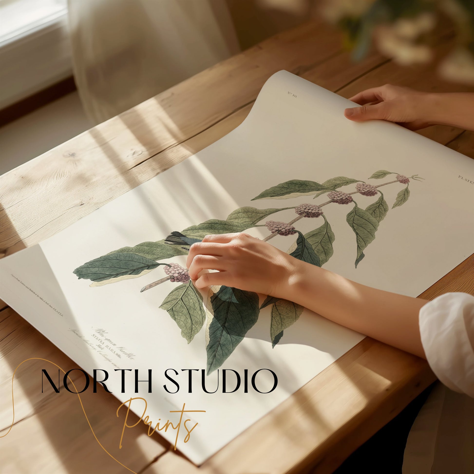 Premium Poster of Beautiful Bird Among Nature Leaves Art Print Posters