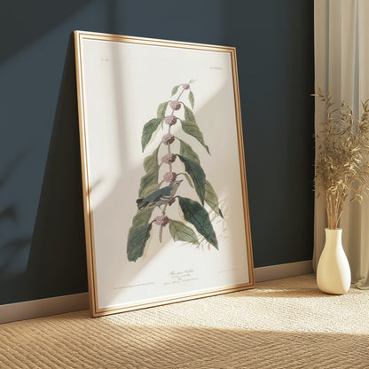 Premium Poster of Beautiful Bird Among Nature Leaves Art Print Posters