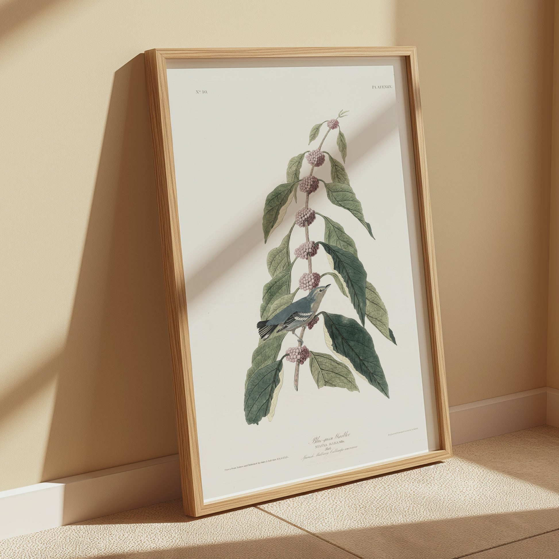 Premium Poster of Beautiful Bird Among Nature Leaves Art Print Posters