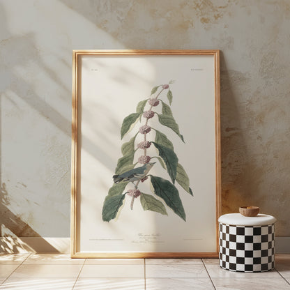 Premium Poster of Beautiful Bird Among Nature Leaves Art Print Posters