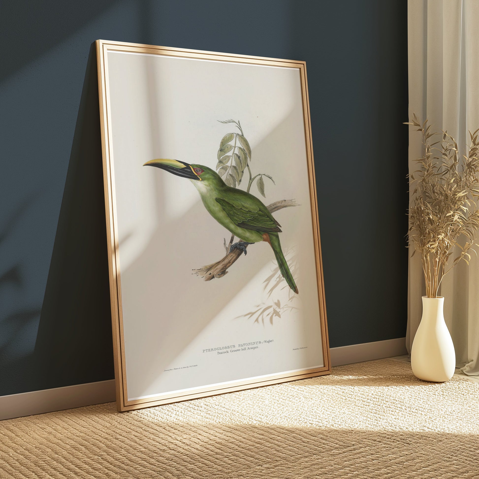 Premium Poster of Beautiful Bird Illustration Art Green Toucan Posters