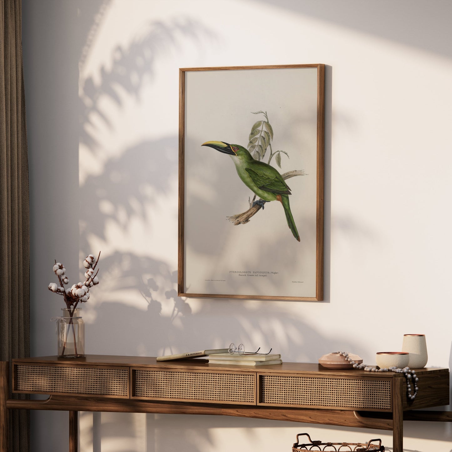 Premium Poster of Beautiful Bird Illustration Art Green Toucan Posters