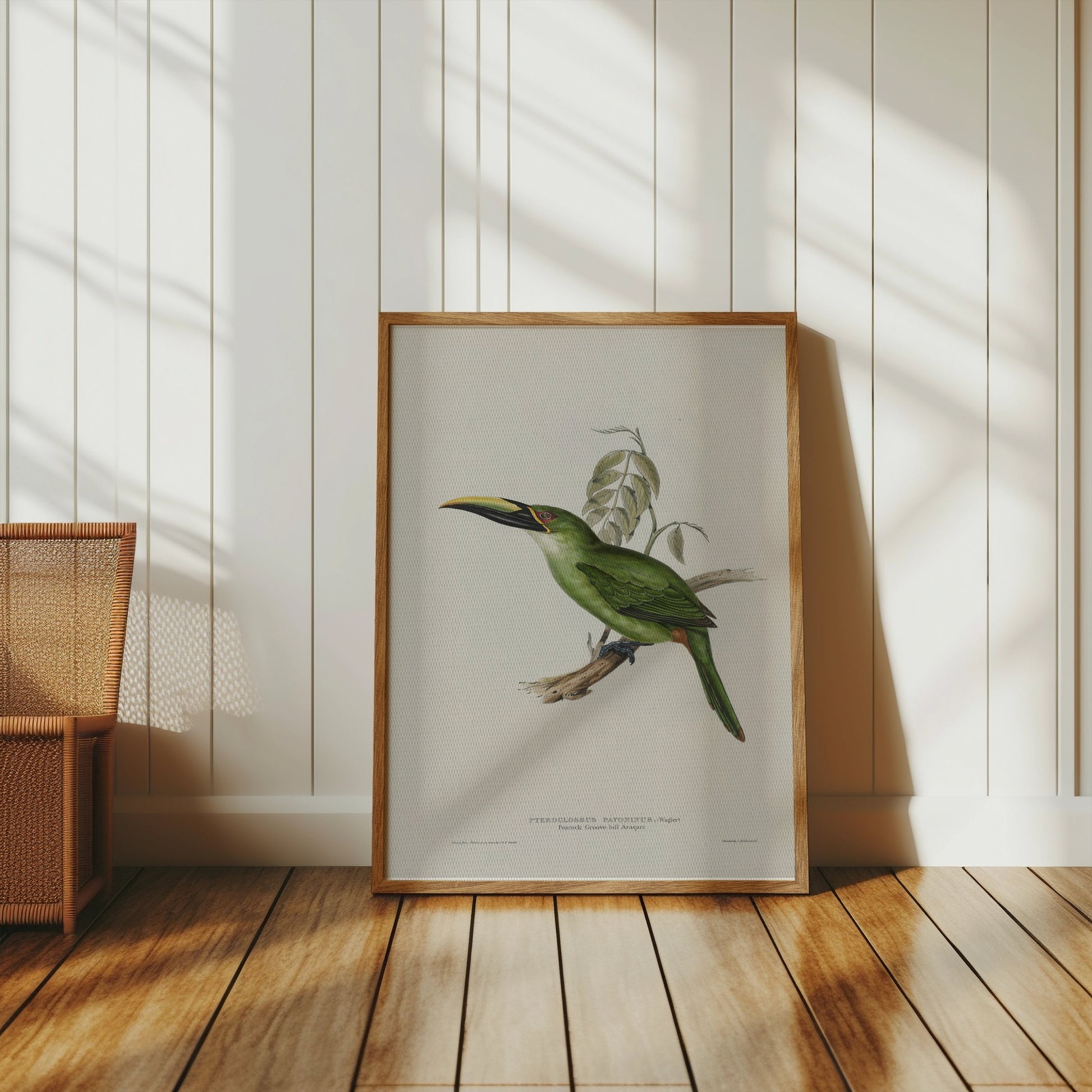 Premium Poster of Beautiful Bird Illustration Art Green Toucan Posters