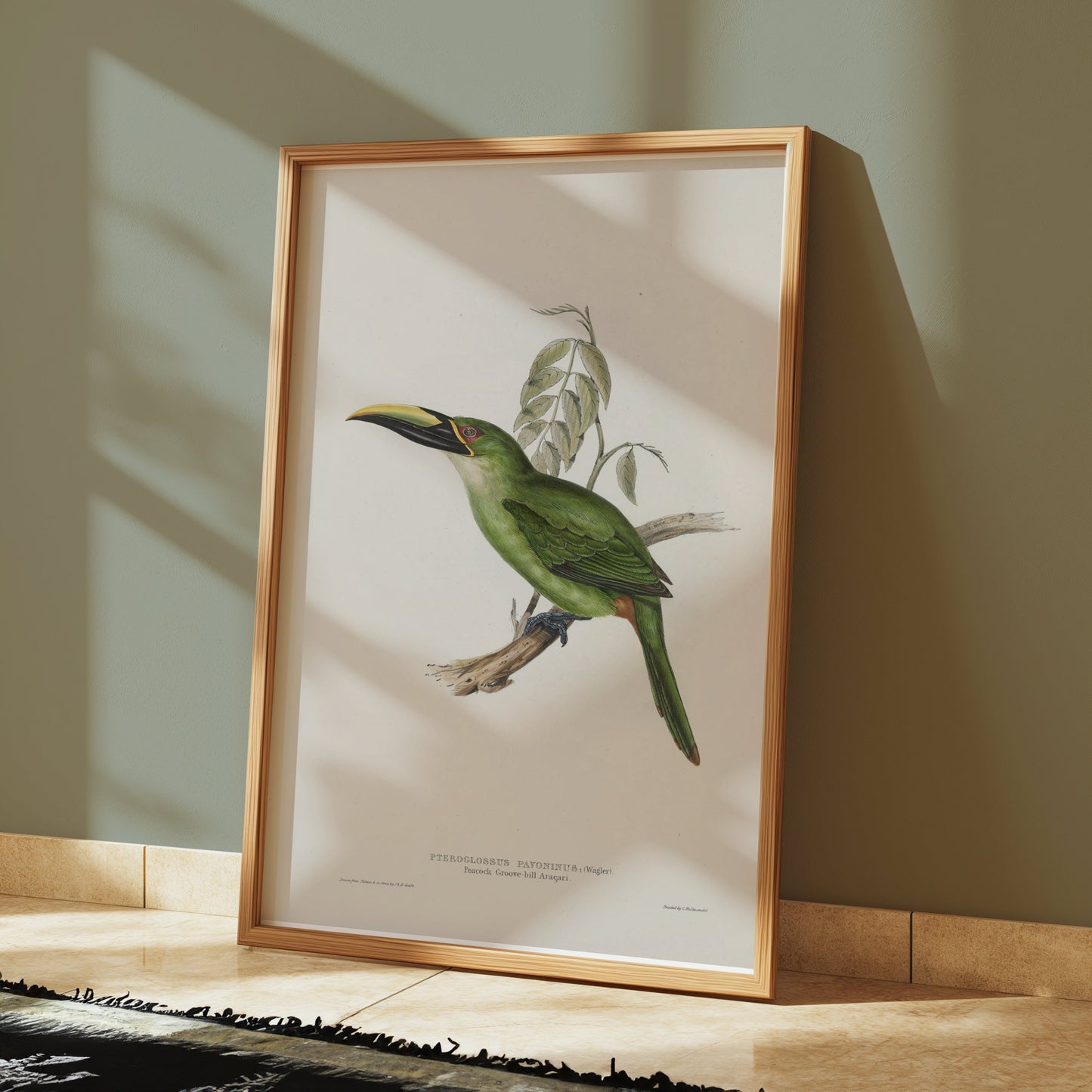 Premium Poster of Beautiful Bird Illustration Art Green Toucan Posters