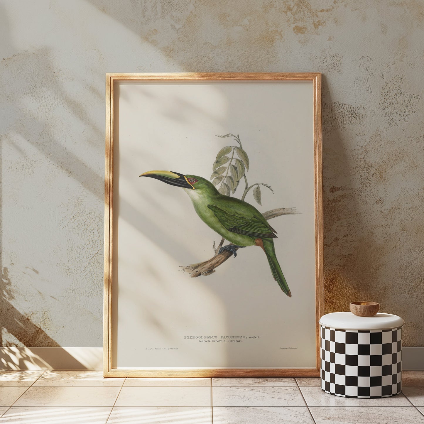 Premium Poster of Beautiful Bird Illustration Art Green Toucan Posters