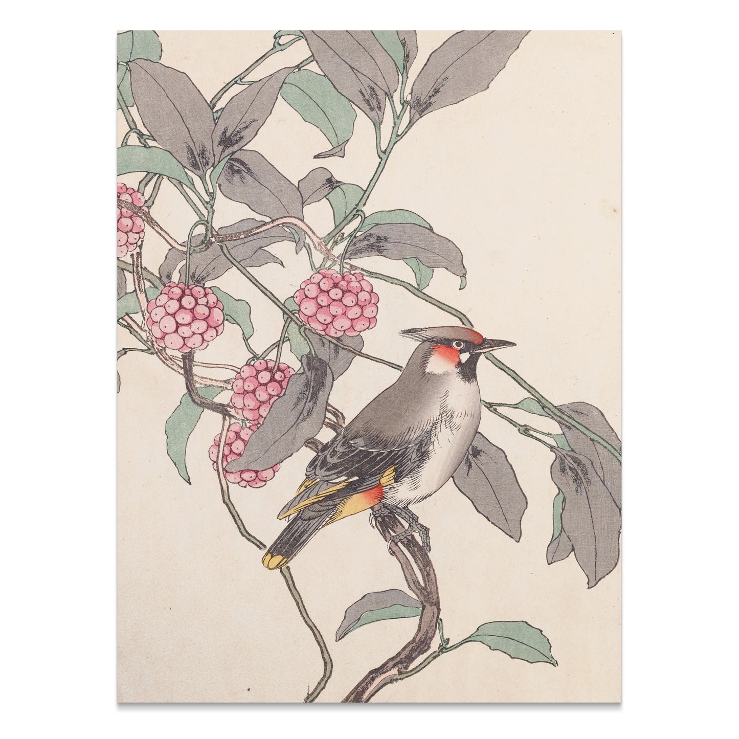 Premium Poster of Beautiful Bird and Berries Japanese Art Style Posters