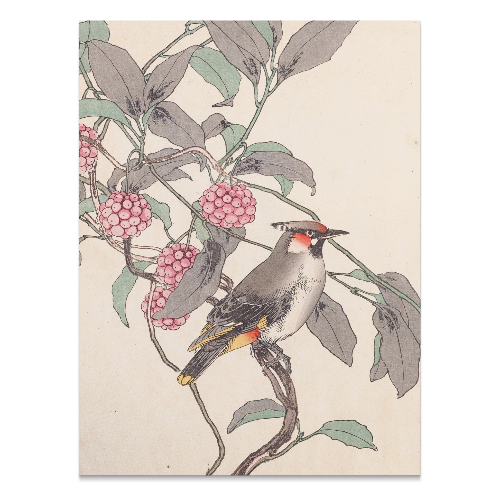 Premium Poster of Beautiful Bird and Berries Japanese Art Style Posters