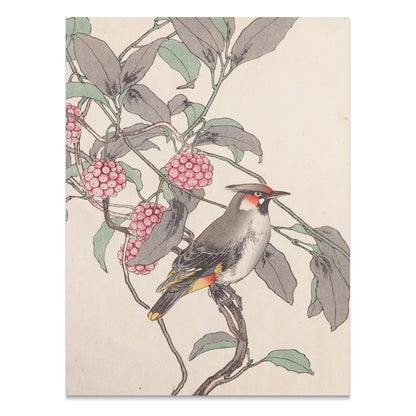 Premium Poster of Beautiful Bird and Berries Japanese Art Style Posters