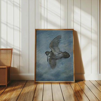 Premium Poster of Beautiful Bird in Flight Wildlife Art Print Posters