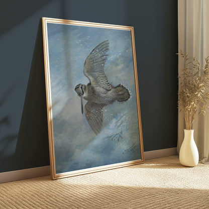 Premium Poster of Beautiful Bird in Flight Wildlife Art Print Posters