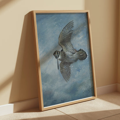 Premium Poster of Beautiful Bird in Flight Wildlife Art Print Posters