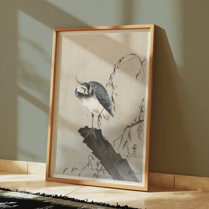 Premium Poster of Beautiful Bird on a Branch with Leaves Art Posters