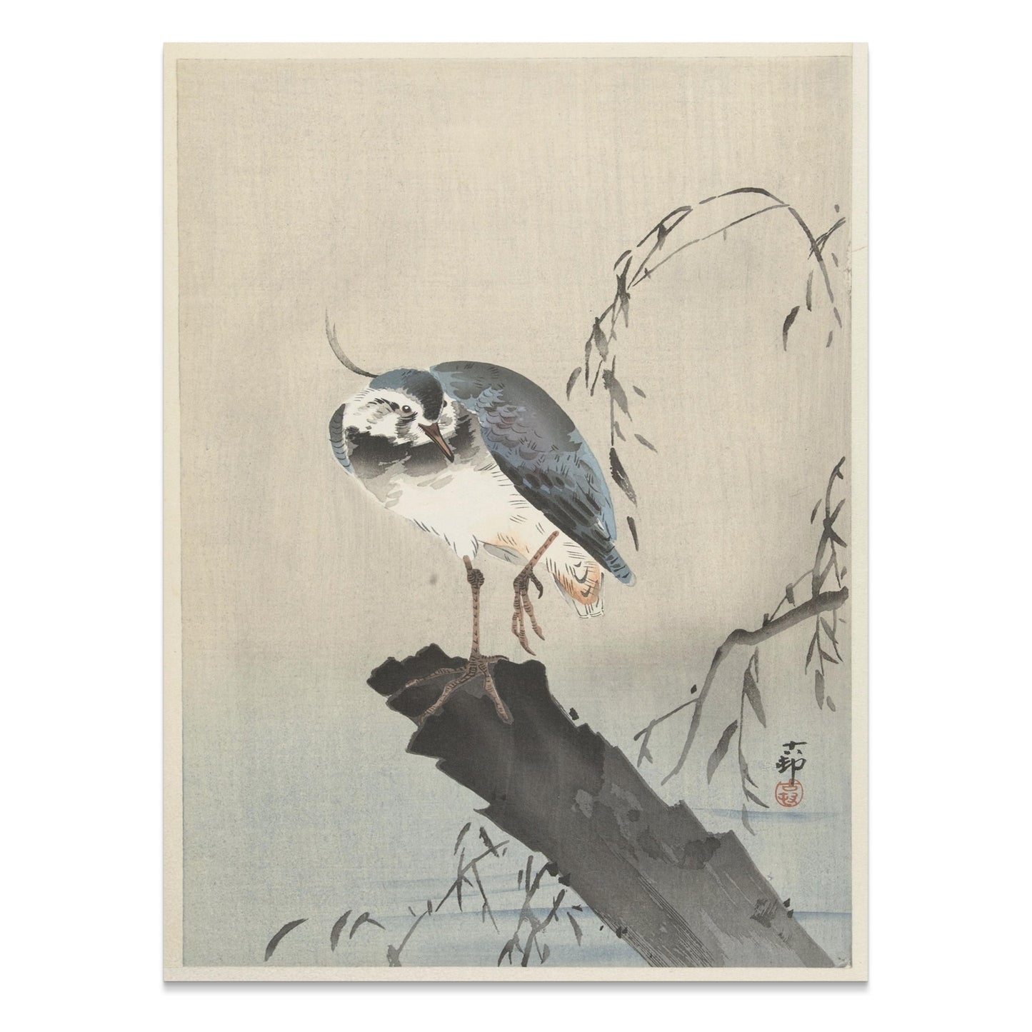 Premium Poster of Beautiful Bird on a Branch with Leaves Art Posters