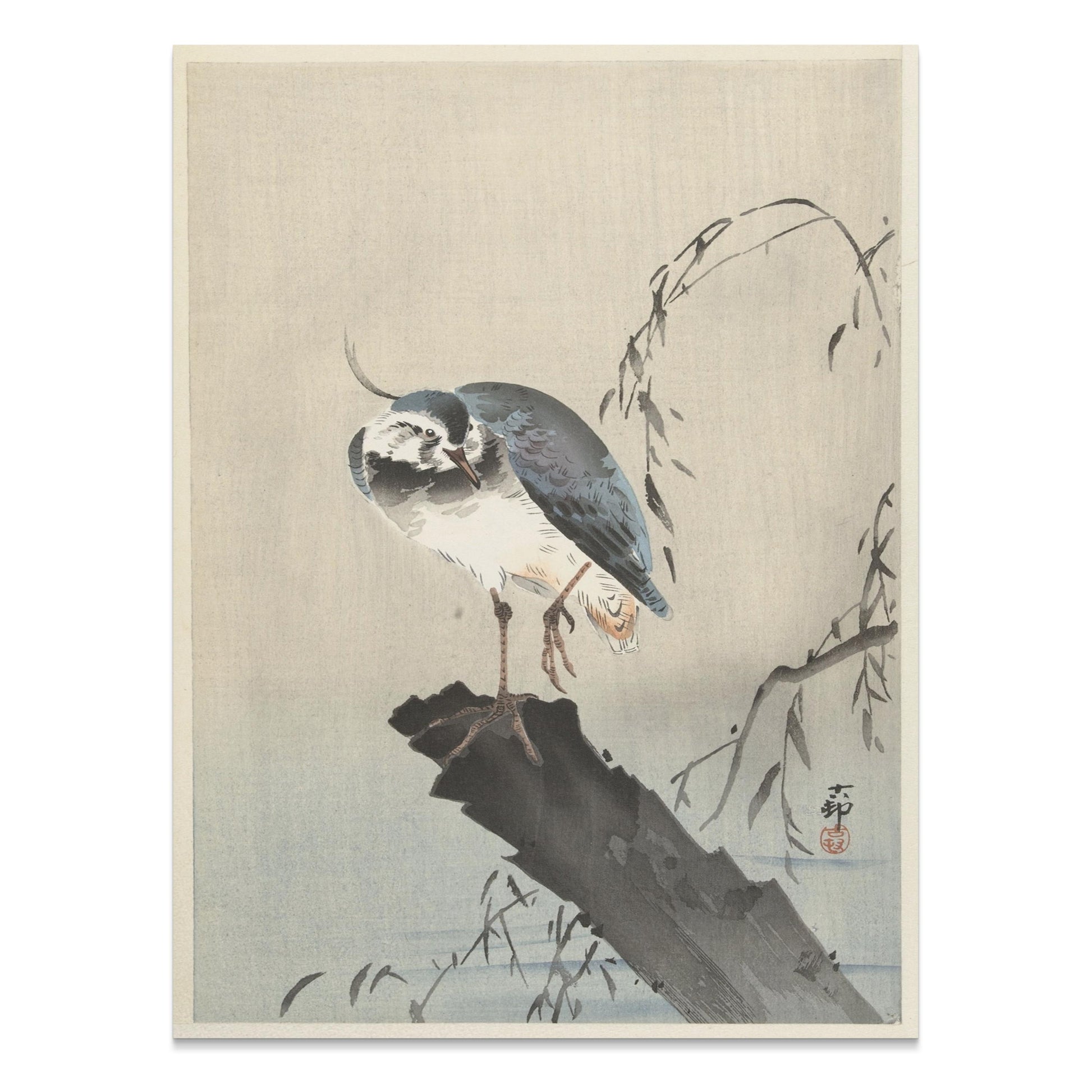 Premium Poster of Beautiful Bird on a Branch with Leaves Art Posters