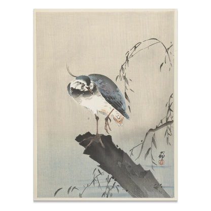 Premium Poster of Beautiful Bird on a Branch with Leaves Art Posters