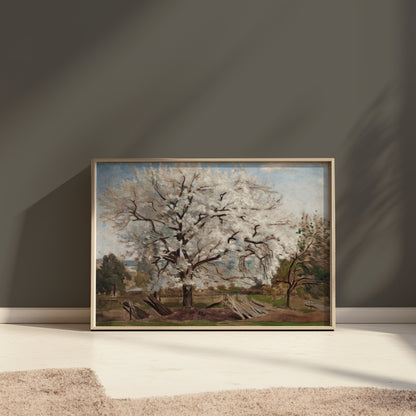Premium Poster of Beautiful Blooming Tree in Countryside Artwork Posters