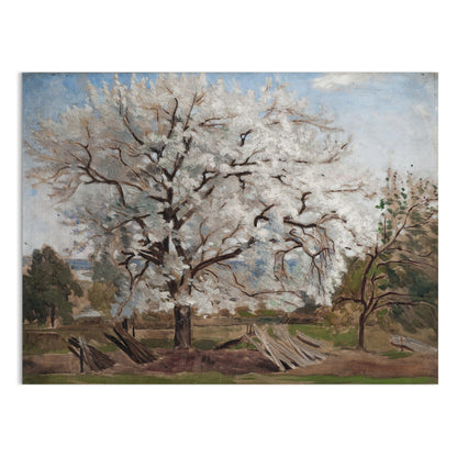 Premium Poster of Beautiful Blooming Tree in Countryside Artwork Posters