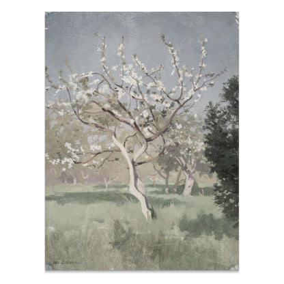 Premium Poster of Beautiful Blooming Tree in Meadow Art Posters