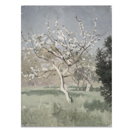 Premium Poster of Beautiful Blooming Tree in Meadow Art Posters
