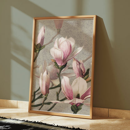 Premium Poster of Beautiful Blossoming Pink Magnolia Flower Posters