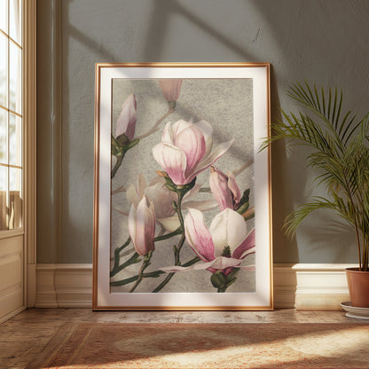 Premium Poster of Beautiful Blossoming Pink Magnolia Flower Posters