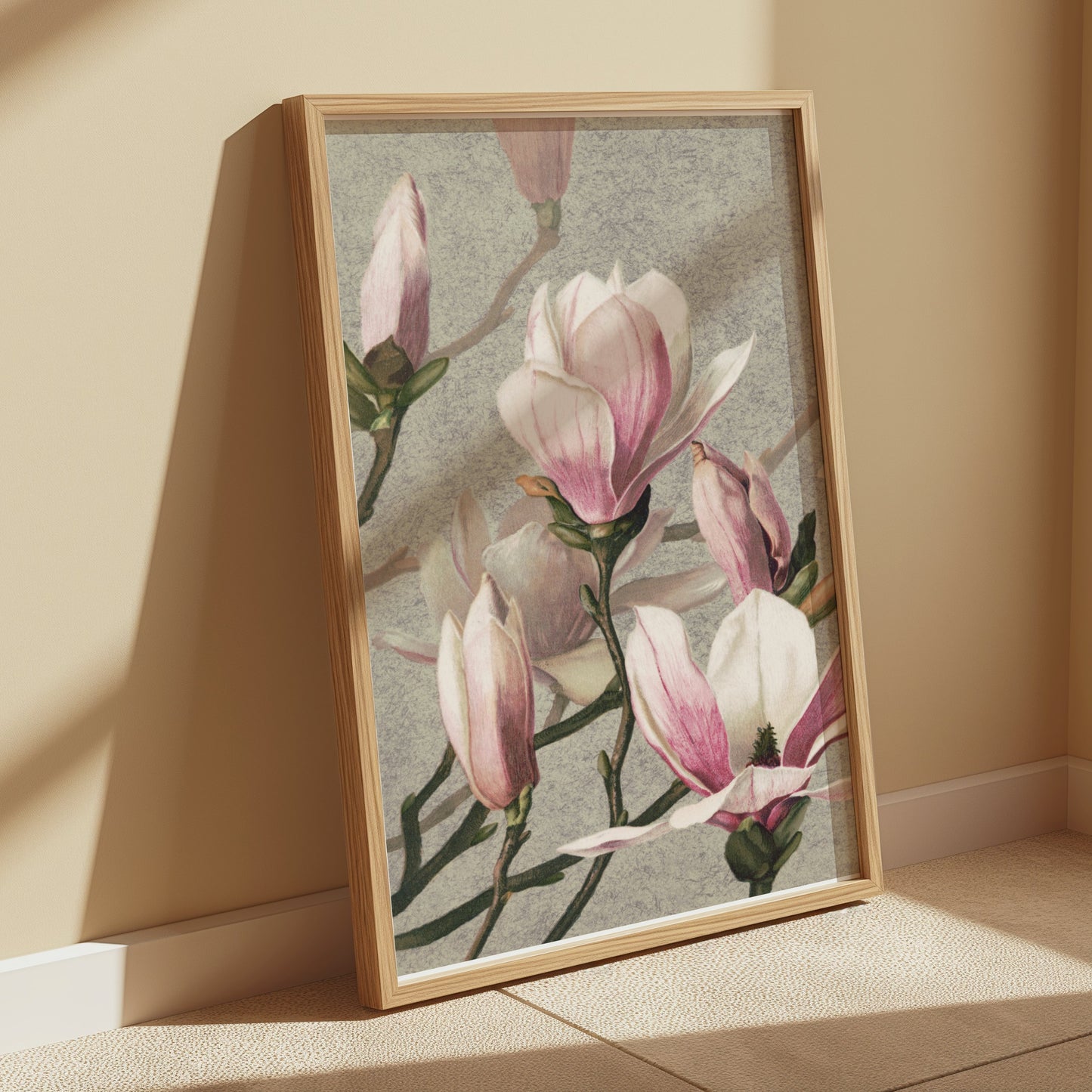 Premium Poster of Beautiful Blossoming Pink Magnolia Flower Posters