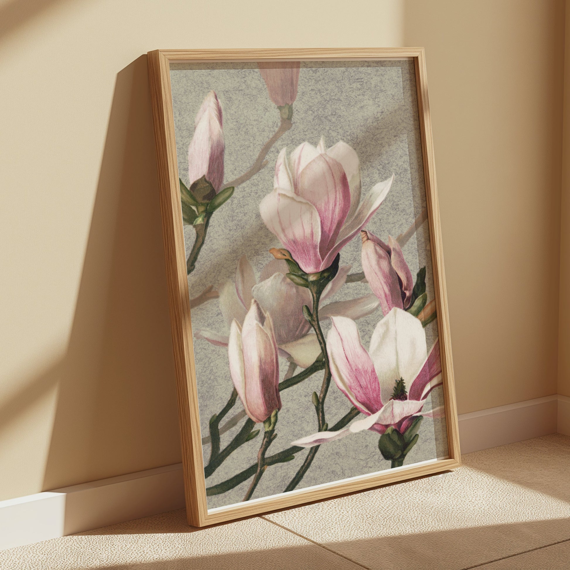 Premium Poster of Beautiful Blossoming Pink Magnolia Flower Posters