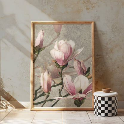 Premium Poster of Beautiful Blossoming Pink Magnolia Flower Posters
