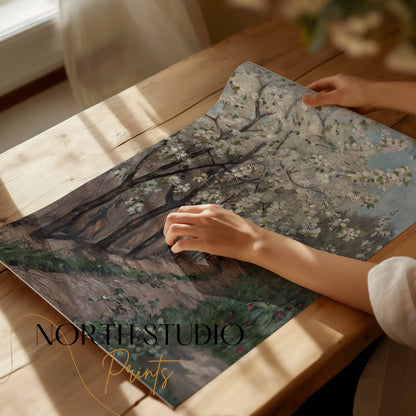 Premium Poster of Beautiful Blossoming Trees Along Pathway Art Posters
