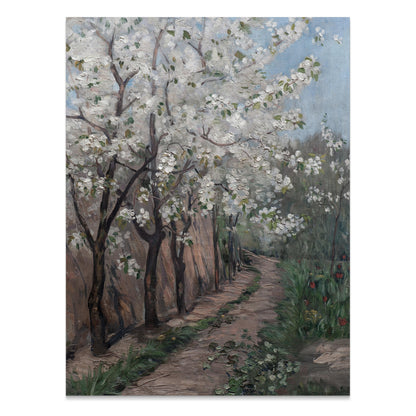 Premium Poster of Beautiful Blossoming Trees Along Pathway Art Posters