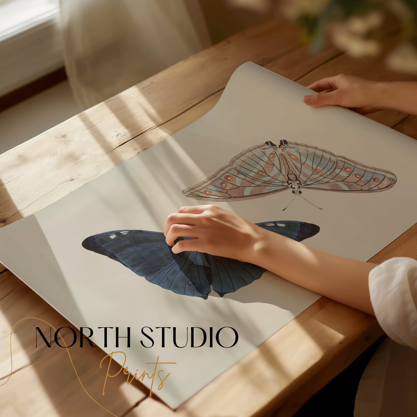 Premium Poster of Beautiful Blue and Striped Butterflies Art Print Posters