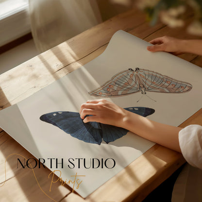 Premium Poster of Beautiful Blue and Striped Butterflies Art Print Posters