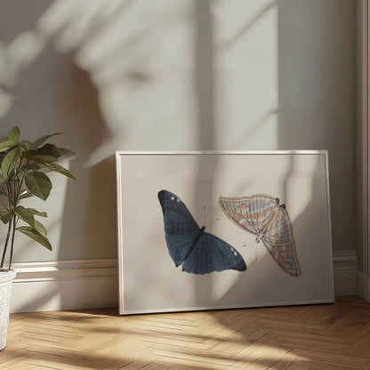Premium Poster of Beautiful Blue and Striped Butterflies Art Print Posters
