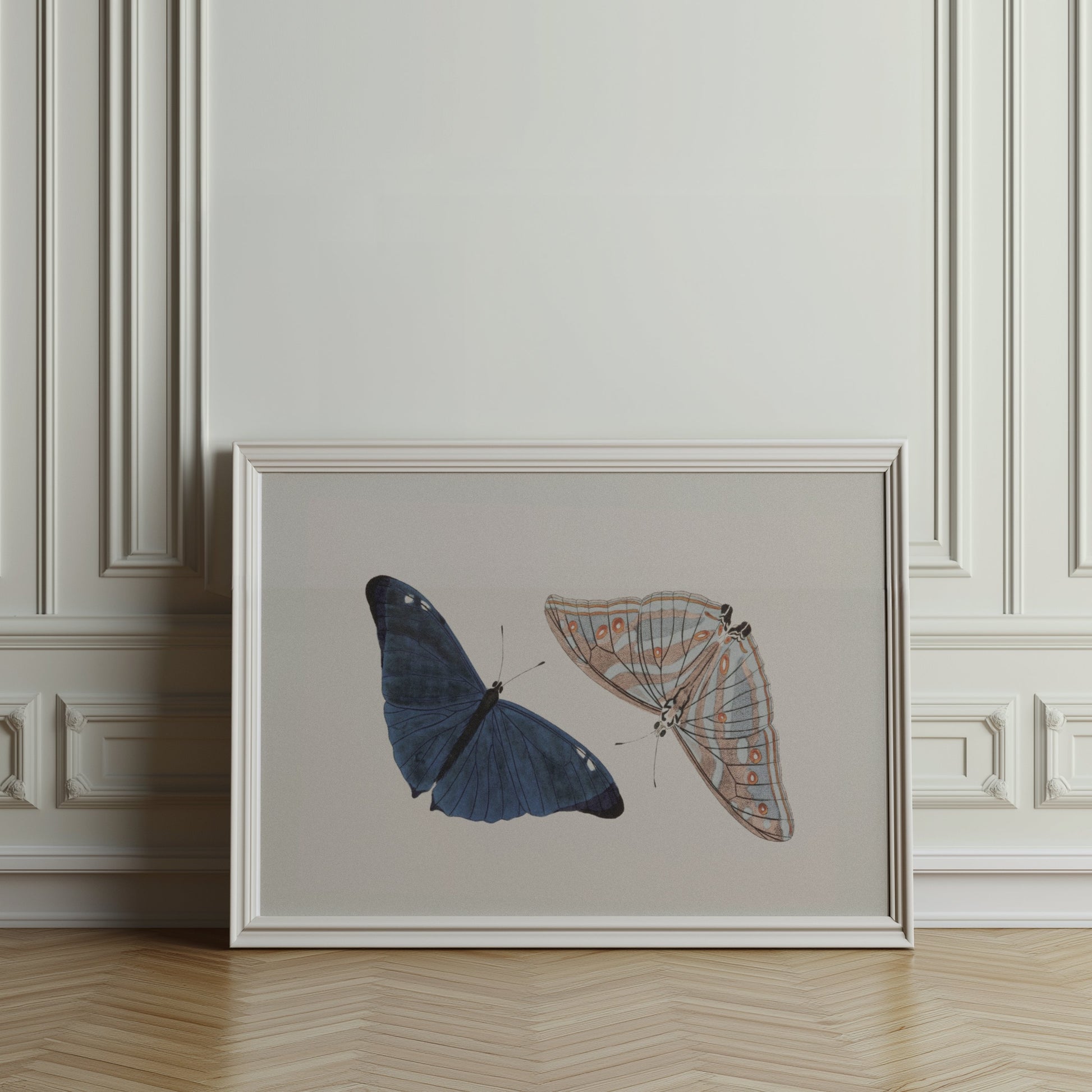 Premium Poster of Beautiful Blue and Striped Butterflies Art Print Posters