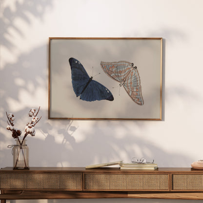 Premium Poster of Beautiful Blue and Striped Butterflies Art Print Posters