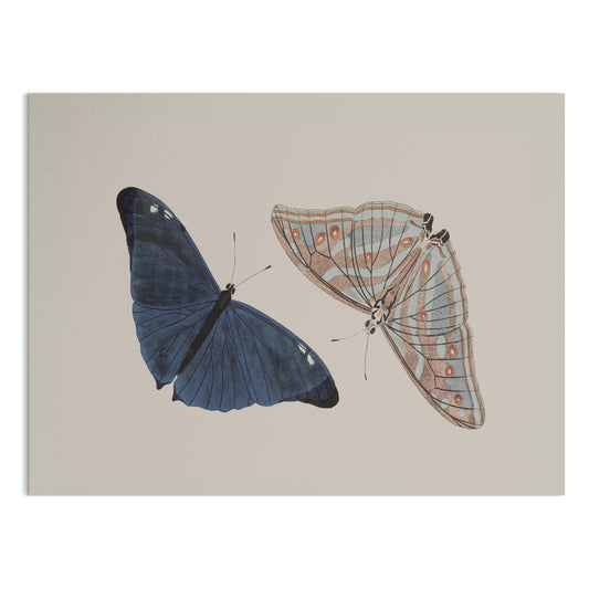 Premium Poster of Beautiful Blue and Striped Butterflies Art Print Posters