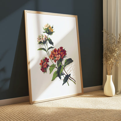 Premium Poster of Beautiful Botanical Floral Print Art for Home Decor Posters