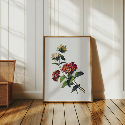 Premium Poster of Beautiful Botanical Floral Print Art for Home Decor Posters
