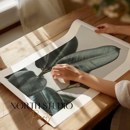 Premium Poster of Beautiful Botanical Foliage Art Print for Home Decor Posters