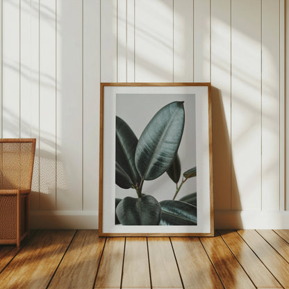 Premium Poster of Beautiful Botanical Foliage Art Print for Home Decor Posters