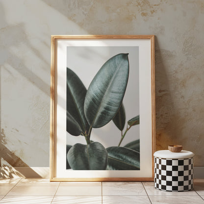 Premium Poster of Beautiful Botanical Foliage Art Print for Home Decor Posters