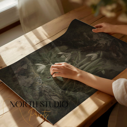 Premium Poster of Beautiful Botanical Illustration of Snowdrops Posters