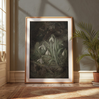 Premium Poster of Beautiful Botanical Illustration of Snowdrops Posters