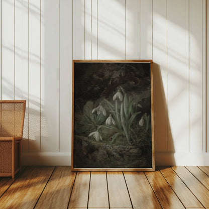 Premium Poster of Beautiful Botanical Illustration of Snowdrops Posters
