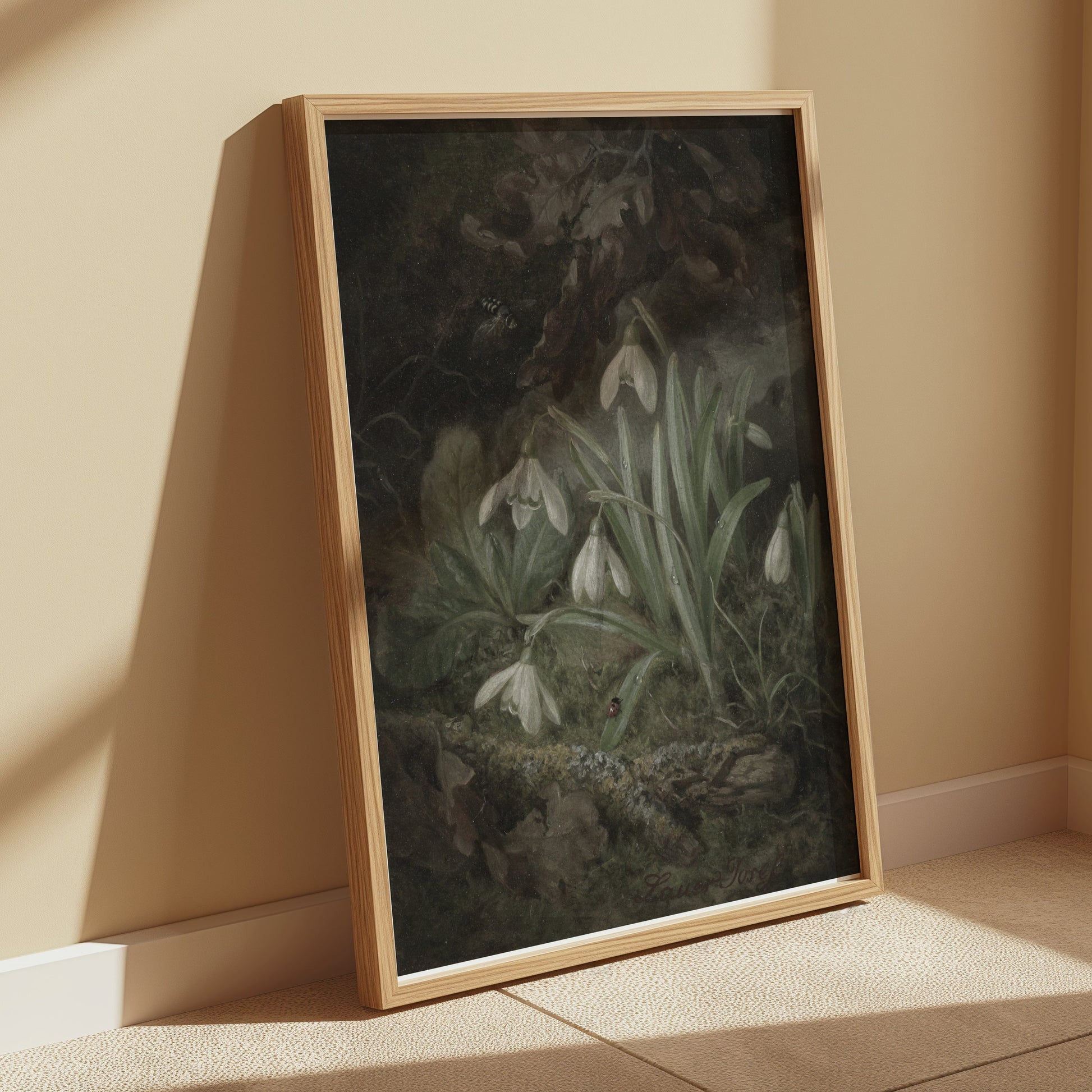 Premium Poster of Beautiful Botanical Illustration of Snowdrops Posters