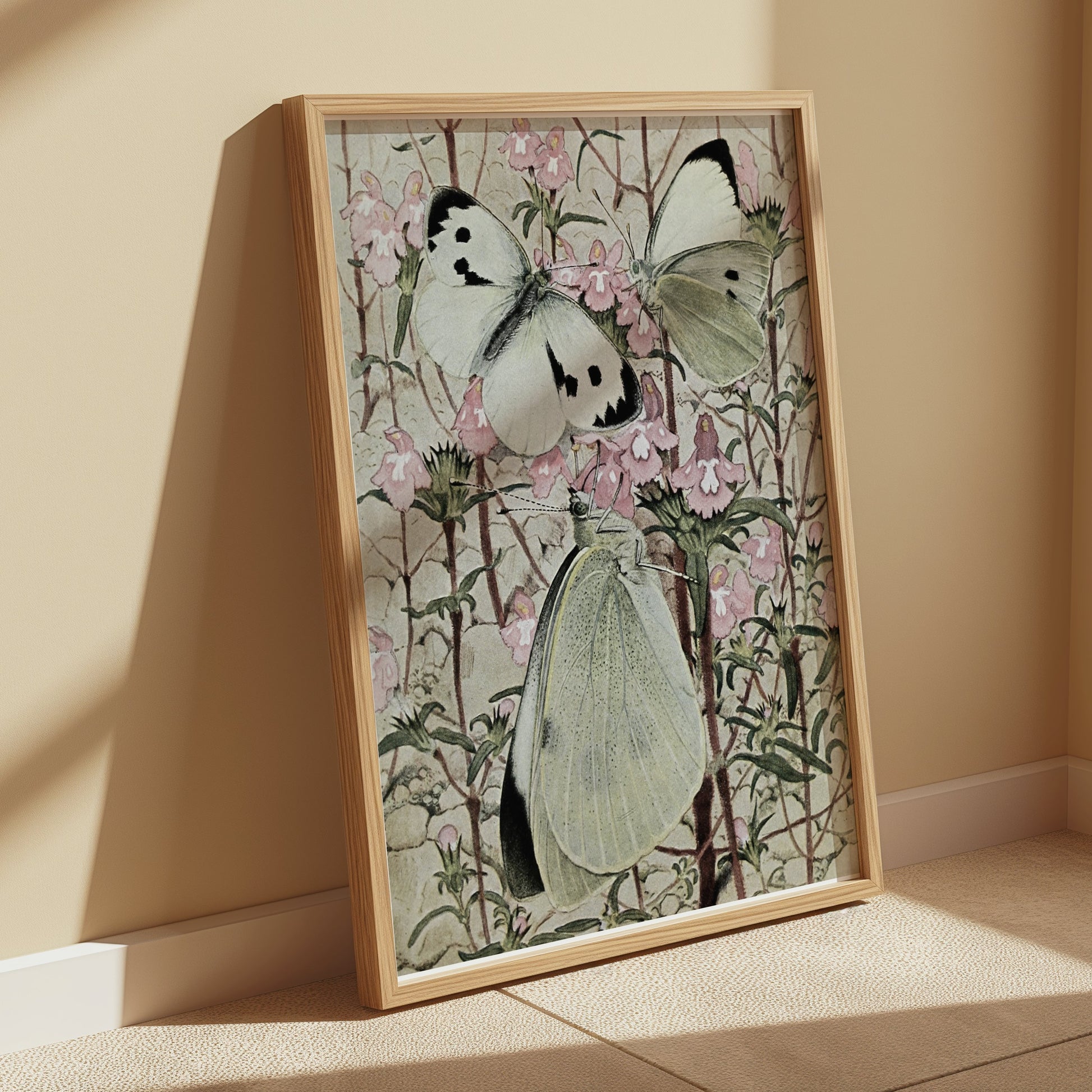 Premium Poster of Beautiful Butterflies on Flowers Illustration Posters