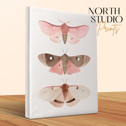 Premium Poster of Beautiful Butterfly Trio Nursery Wall Art Canvas Wraps