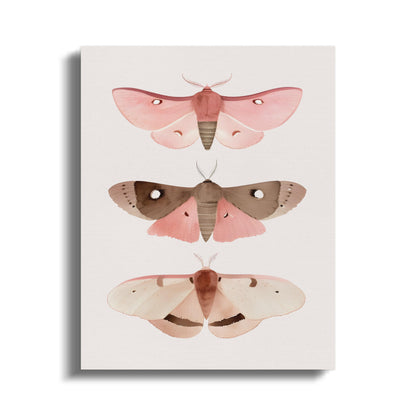 Premium Poster of Beautiful Butterfly Trio Nursery Wall Art Canvas Wraps